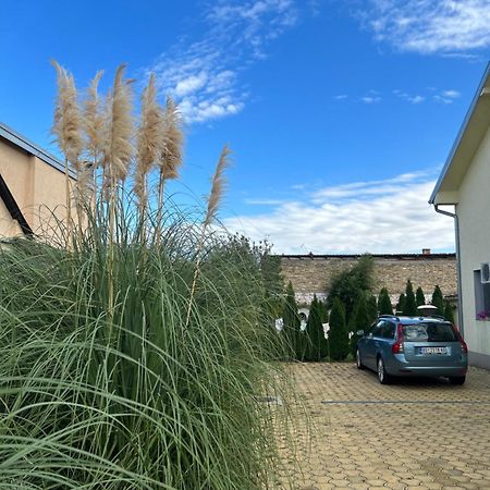 Nest Zen Garden Apartment Novi Sad Exterior foto