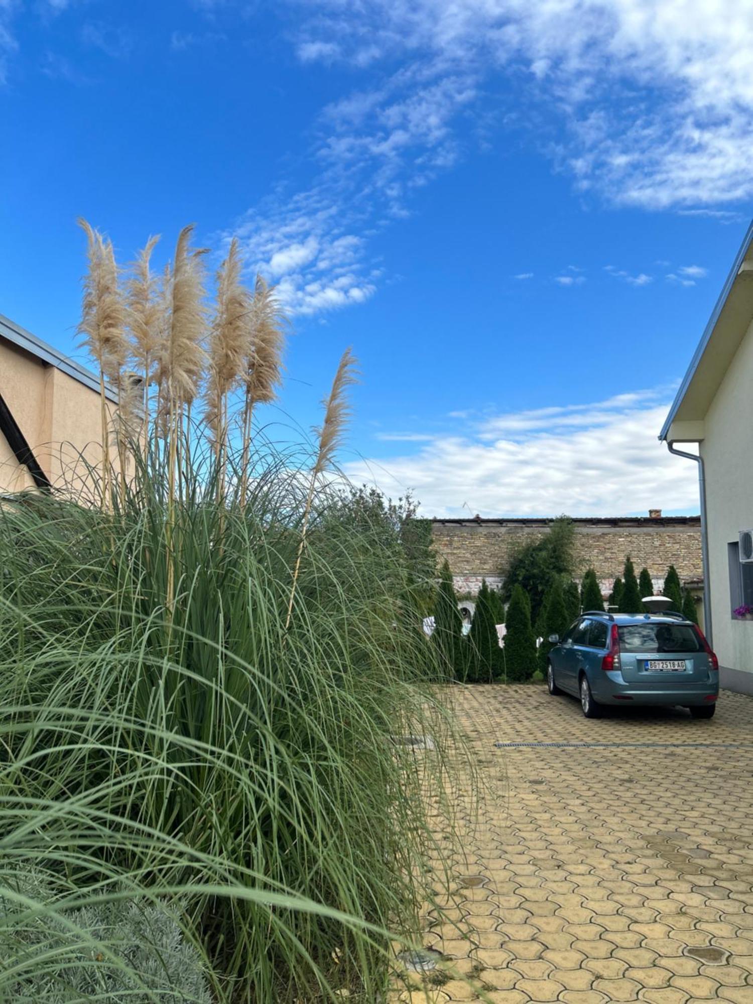 Nest Zen Garden Apartment Novi Sad Exterior foto