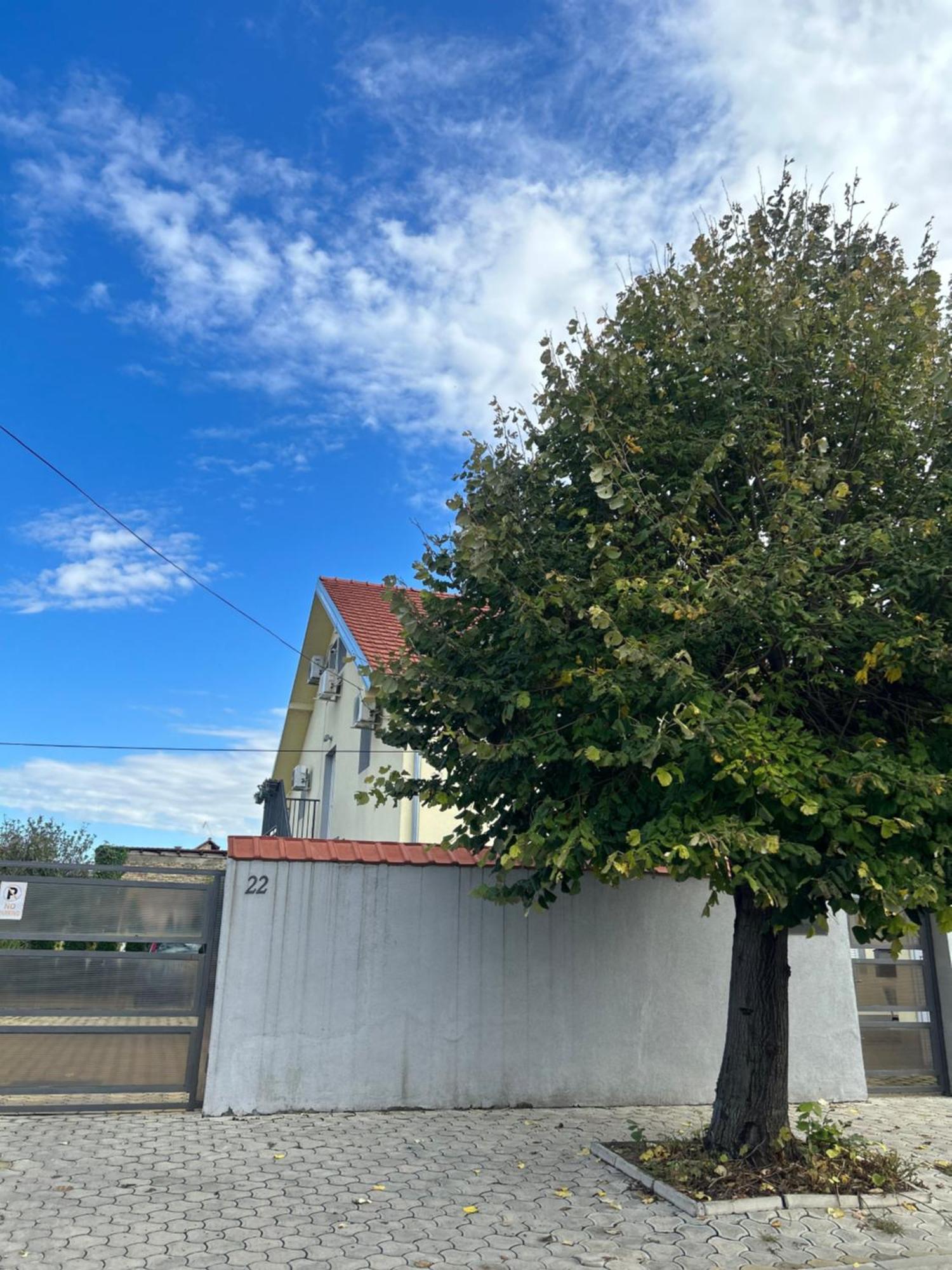 Nest Zen Garden Apartment Novi Sad Exterior foto